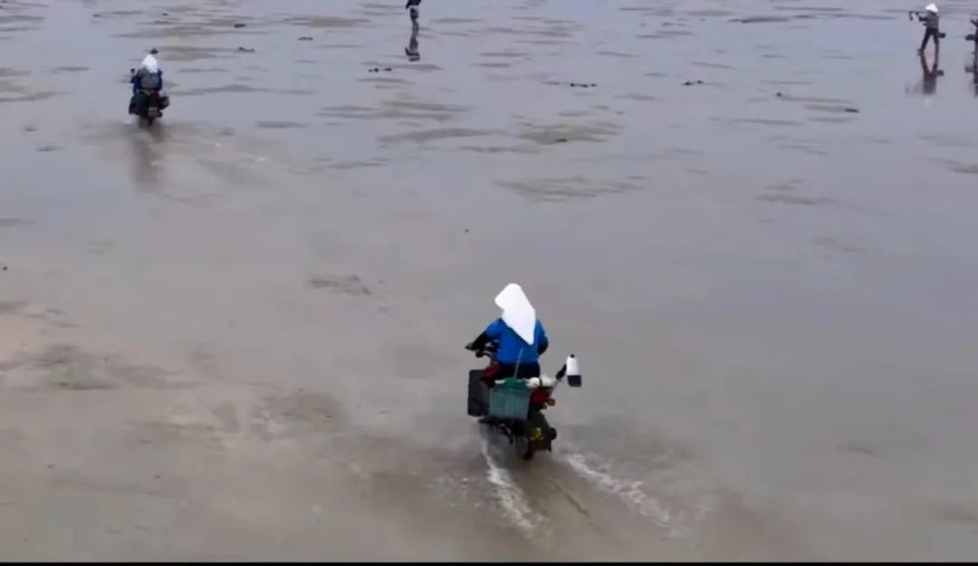 鼓式制動(dòng)器,摩托車(chē)剎車(chē)圈,輪轂剎車(chē)圈,Drum brake,摩托車(chē)制動(dòng)鐵套